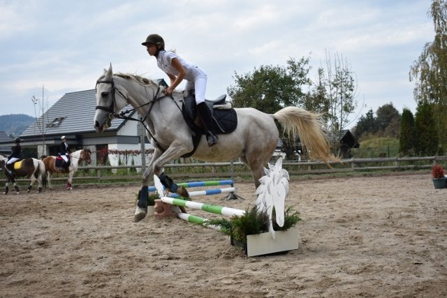 bABIE lATO 2018